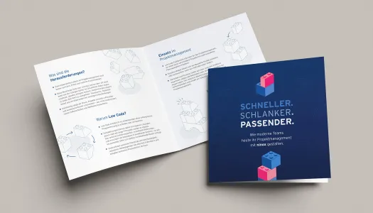 tiba flyer code days